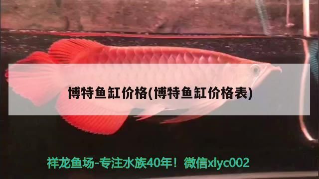 博特魚缸價格(博特魚缸價格表)
