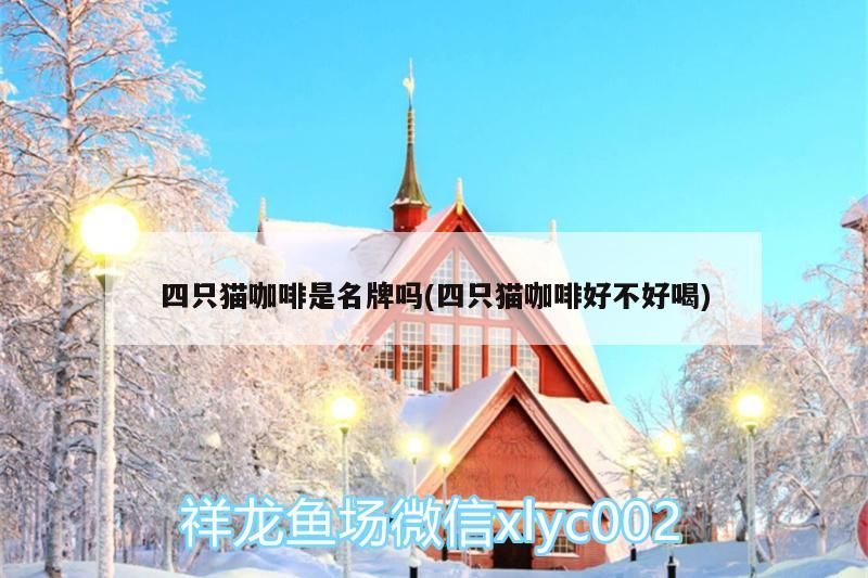 四只貓咖啡是名牌嗎(四只貓咖啡好不好喝) 四只貓咖啡是名牌嗎(四只貓咖啡好不好喝) 馬來西亞咖啡