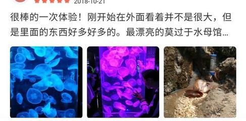 水族館能干嘛（水族館是一個展示和研究水下生物的場所，水族館如何提升環保意識）