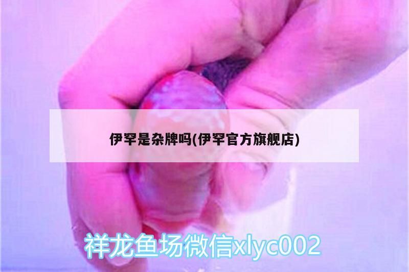 伊罕是雜牌嗎(伊罕官方旗艦店)