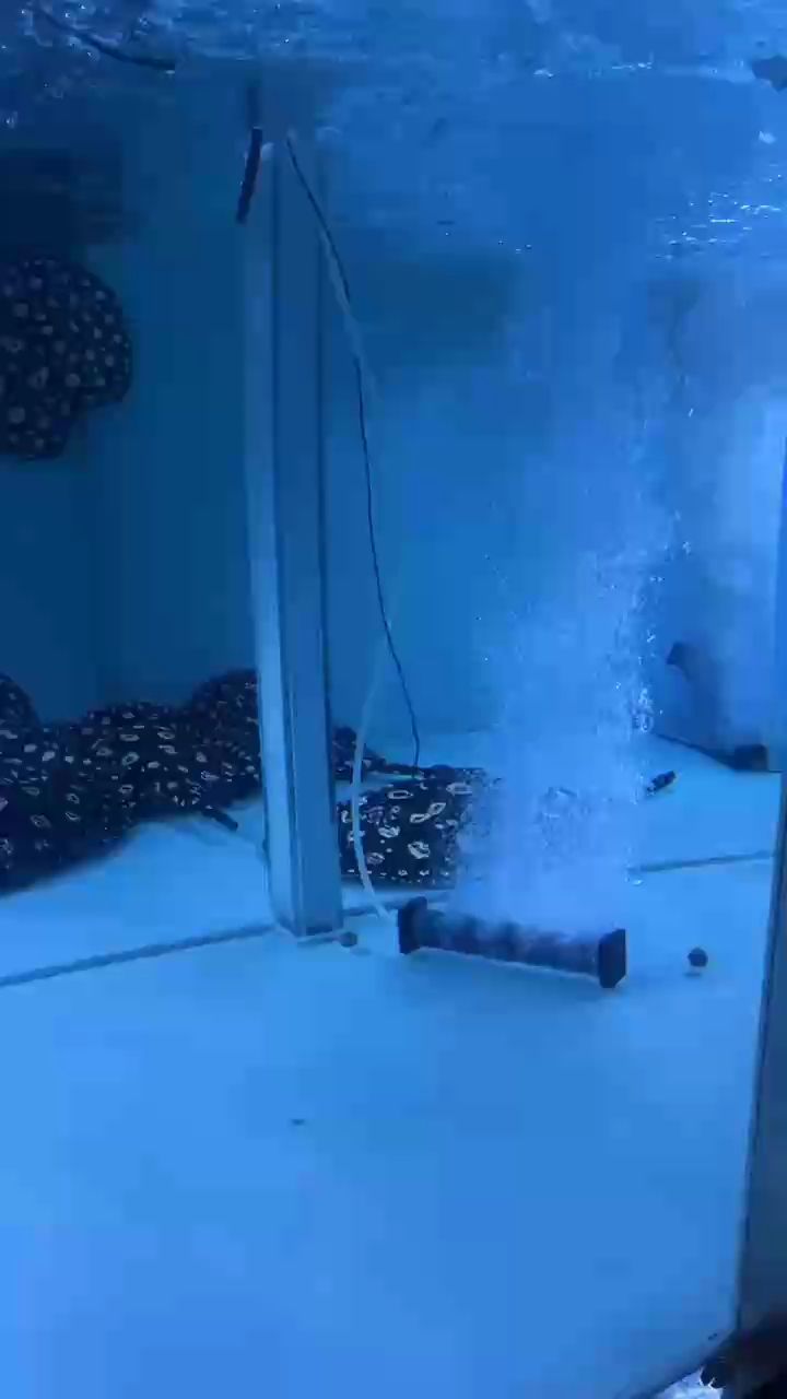 人在知足的時候最富有也在珍惜的時候最幸福 人在知足的時候最富有也在珍惜的時候最幸福 龍魚論壇