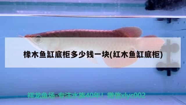 魚缸用增氧泵價格是多少:魚缸增氧機-xtrac增氧機-xtrac增氧機 橡木魚缸底柜多少錢一塊(紅木魚缸底柜) 可麗愛魚缸 橡木魚缸底柜多少錢一塊(紅木魚缸底柜) 橡木魚缸底柜多少錢一塊(紅木魚缸底柜) 可麗愛魚缸