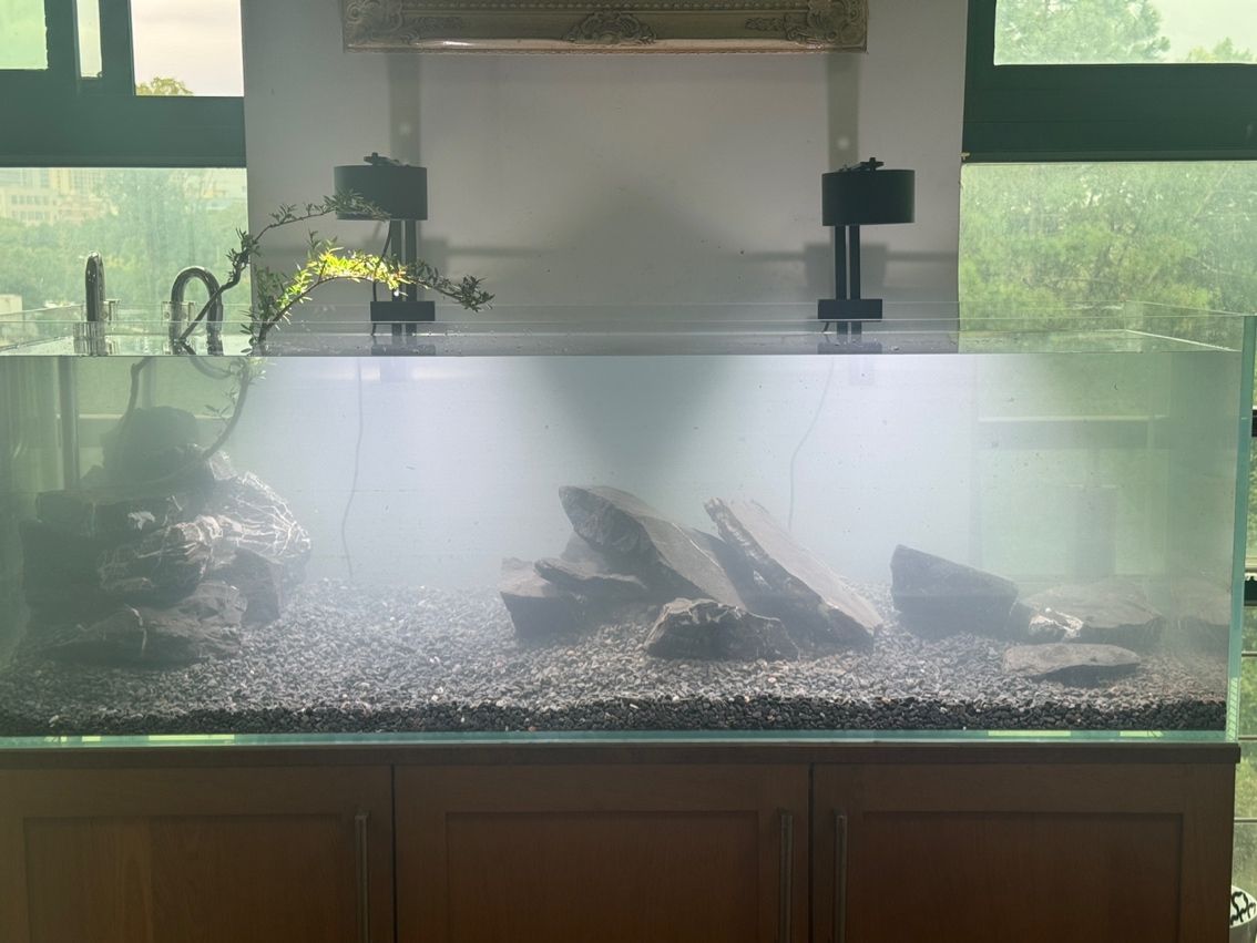 水草缸翻缸溪流… 水草缸翻缸溪流… 龍魚論壇 第1張