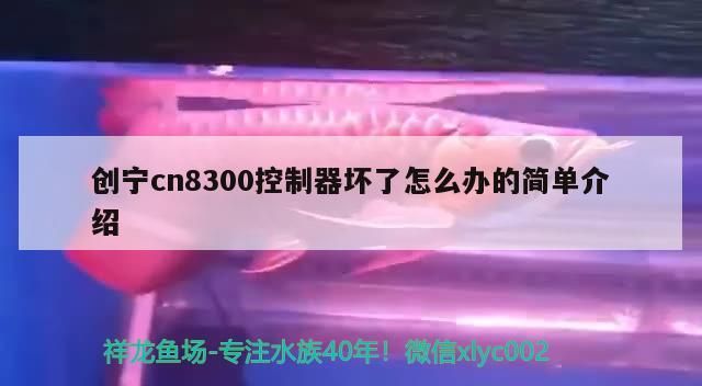 創(chuàng)寧cn8300控制器壞了怎么辦的簡單介紹
