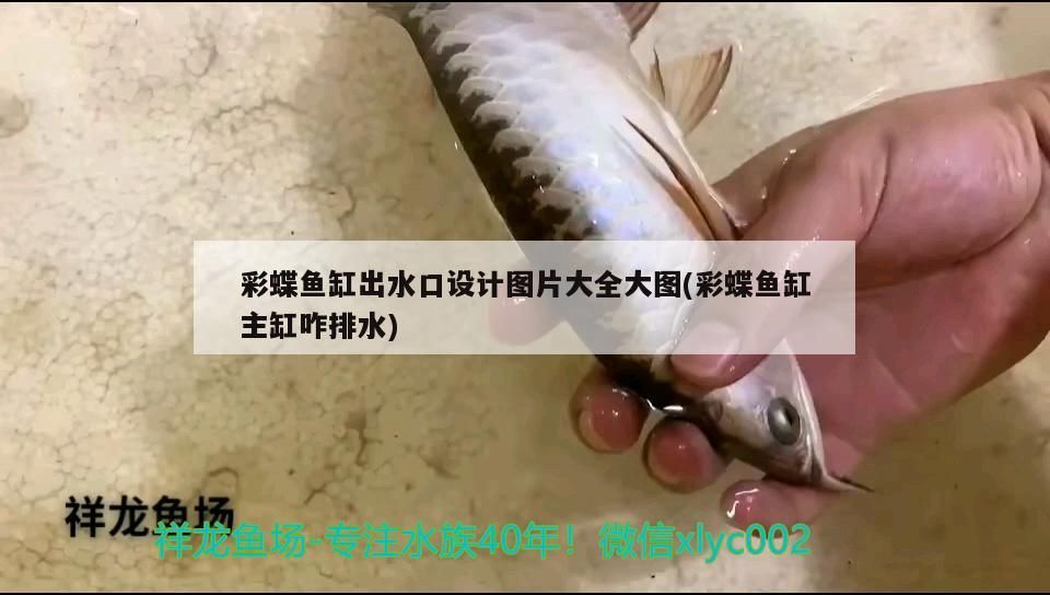伊罕過(guò)濾桶不吸水：伊罕過(guò)濾桶出水量特別小 伊罕過(guò)濾桶不吸水：伊罕過(guò)濾桶出水量特別小 伊罕水族 第1張