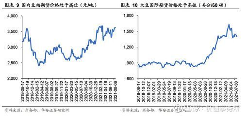 金龍魚價格上漲原因是什么 金龍魚價格上漲原因是什么 龍魚百科 第1張