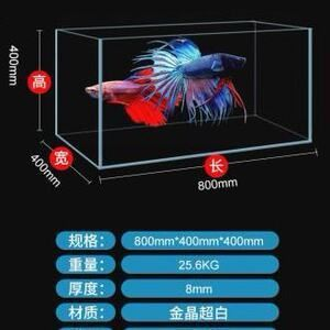 diy魚缸冷水機效果不好 diy魚缸冷水機效果不好 魚缸百科 第3張
