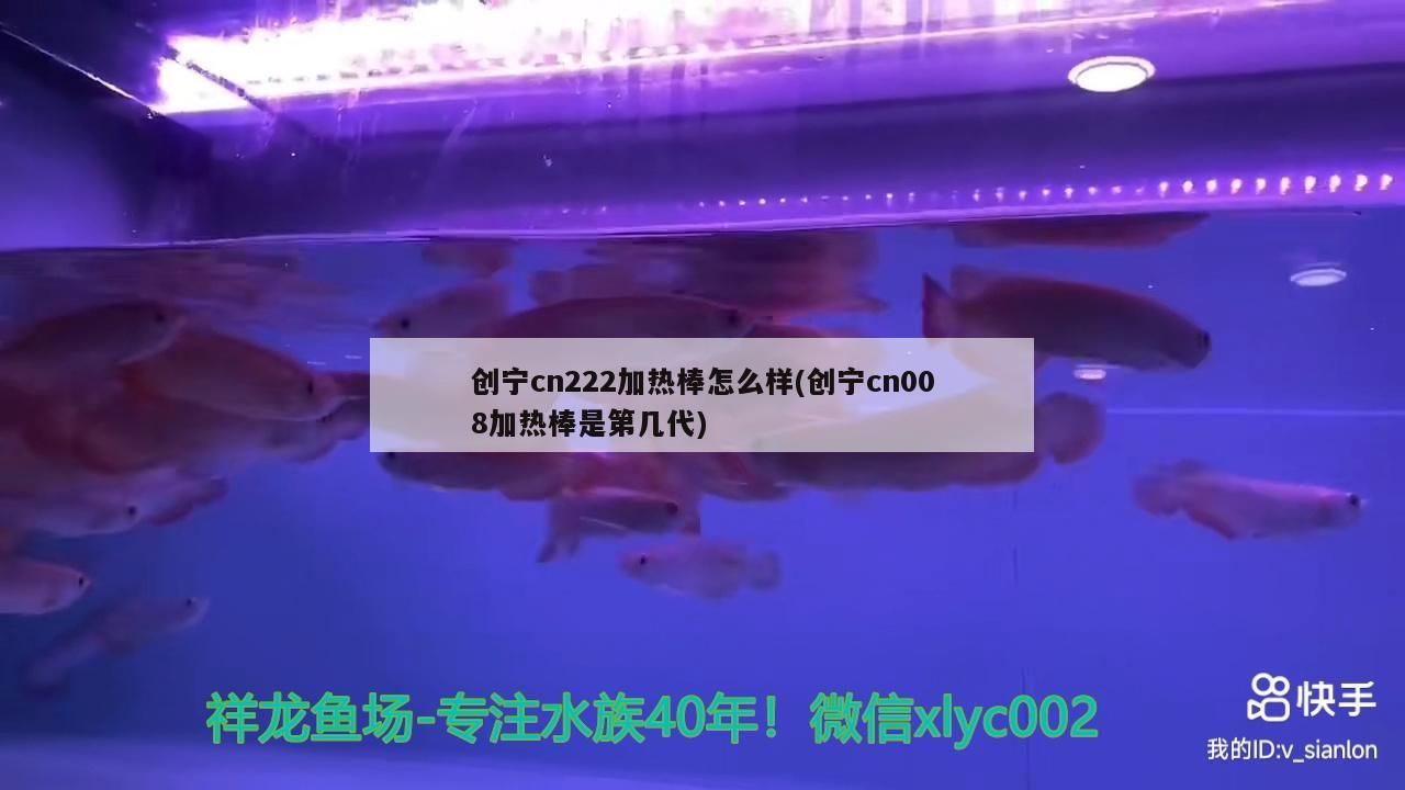 創寧cn222加熱棒怎么樣(創寧cn008加熱棒是第幾代)