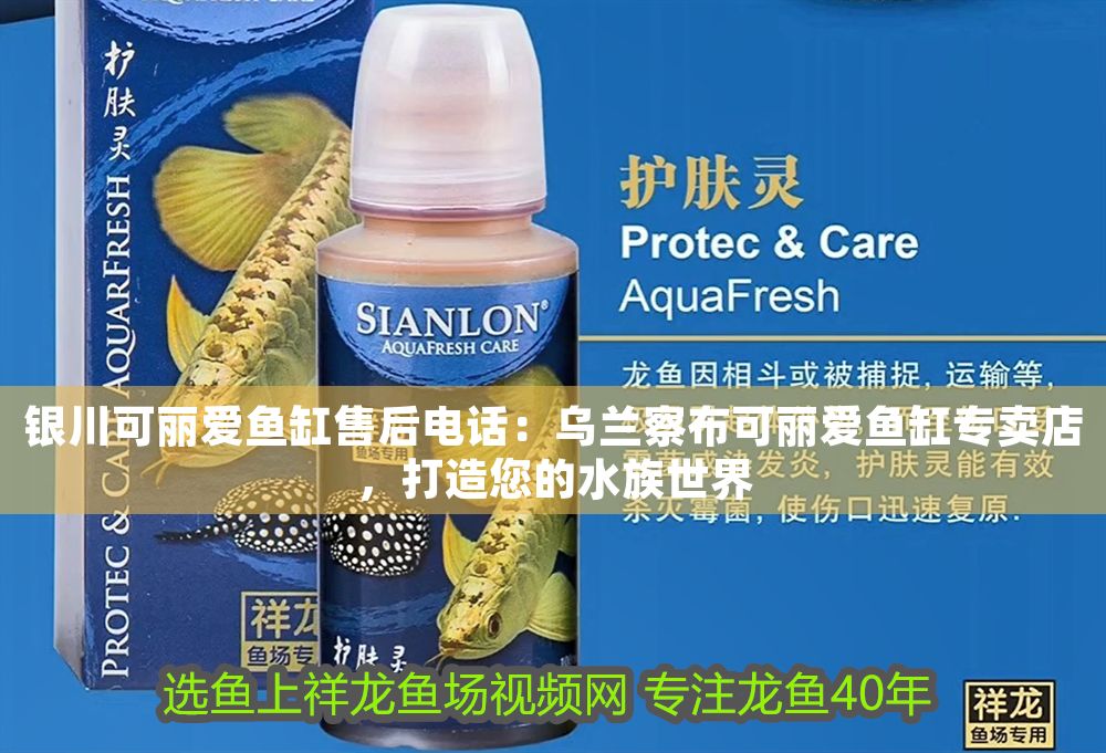 銀川可麗愛魚缸售后電話：烏蘭察布可麗愛魚缸專賣店，打造您的水族世界 銀川可麗愛魚缸售后電話：烏蘭察布可麗愛魚缸專賣店，打造您的水族世界 iwish愛唯希品牌魚缸 第1張