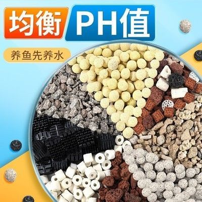200l魚缸養多少魚：200升魚缸適合養哪種魚？