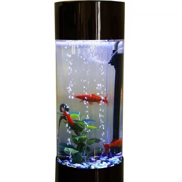 5個礦泉水瓶魚缸多少升水合適：魚缸加水的數量一般是多少？