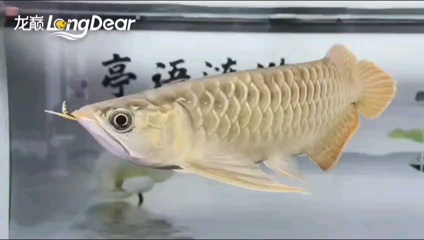 轉(zhuǎn)發(fā)603