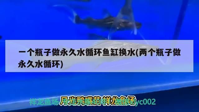 一個瓶子做永久水循環魚缸換水(兩個瓶子做永久水循環)