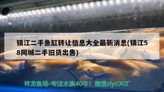 鎮(zhèn)江二手魚缸轉(zhuǎn)讓信息大全最新消息(鎮(zhèn)江58同城二手舊貨出售)