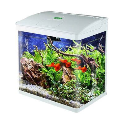 佳璐魚缸是森森牌的嗎 佳璐魚缸是森森牌的嗎 森森魚缸