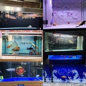 森森水族賣魚嗎 森森水族賣魚嗎 森森魚缸