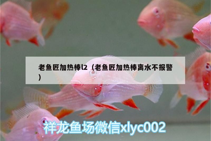 老魚匠加熱棒l2（老魚匠加熱棒離水不報警） 老魚匠加熱棒l2（老魚匠加熱棒離水不報警） 老魚匠