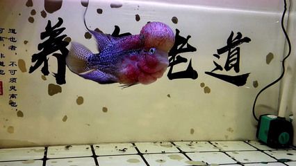 創(chuàng)寧變頻水泵出現(xiàn)e07是什么毛病（創(chuàng)寧變頻水泵出現(xiàn)e07是什么毛病啊）