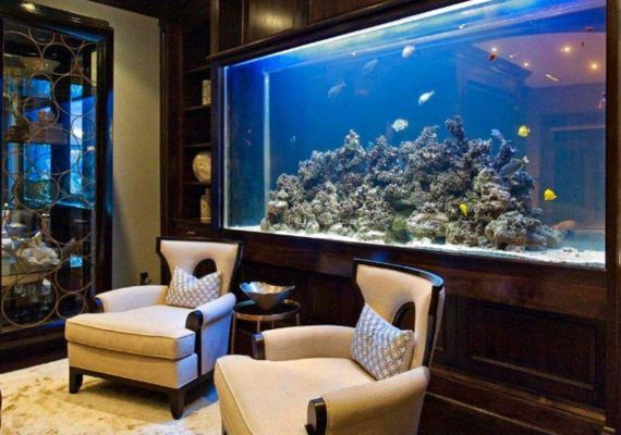魚缸放客廳什么位置好 效果圖，客廳魚缸擺放影響財運嗎客廳魚缸裝飾搭配技巧如何選擇