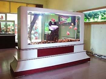 魚缸放客廳什么位置好 效果圖，客廳魚缸擺放影響財運嗎客廳魚缸裝飾搭配技巧如何選擇