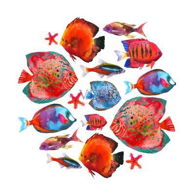 龍魚口一張一合是正常的嗎？，龍魚口一張一合多久會死
