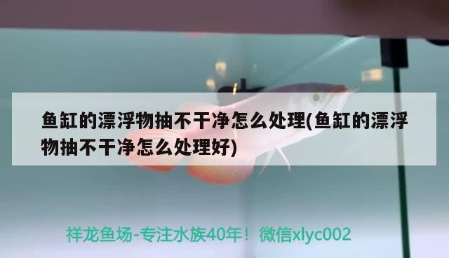 印尼虎魚多少溫度飼養(yǎng)最好:印尼虎魚多少溫度飼養(yǎng)最好印尼虎魚多少溫度飼養(yǎng)最好 魚缸的漂浮物抽不干凈怎么處理(魚缸的漂浮物抽不干凈怎么處理好) iwish愛唯希品牌魚缸 魚缸的漂浮物抽不干凈怎么處理(魚缸的漂浮物抽不干凈怎么處理好) 魚缸的漂浮物抽不干凈怎么處理(魚缸的漂浮物抽不干凈怎么處理好) iwish愛唯希品牌魚缸