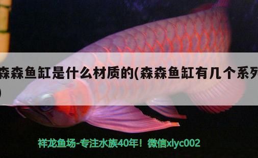 森森魚缸是什么材質(zhì)的(森森魚缸有幾個系列)