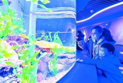 水族館運營管理：水族館的運營管理 水族館運營管理：水族館的運營管理 水族館百科（水族館加盟） 第1張