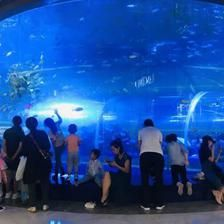 水族館運營管理：水族館的運營管理 水族館運營管理：水族館的運營管理 水族館百科（水族館加盟） 第5張