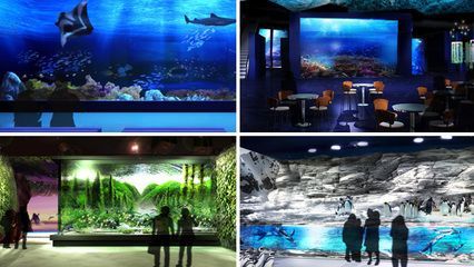 水族館運營管理：水族館的運營管理 水族館運營管理：水族館的運營管理 水族館百科（水族館加盟） 第4張