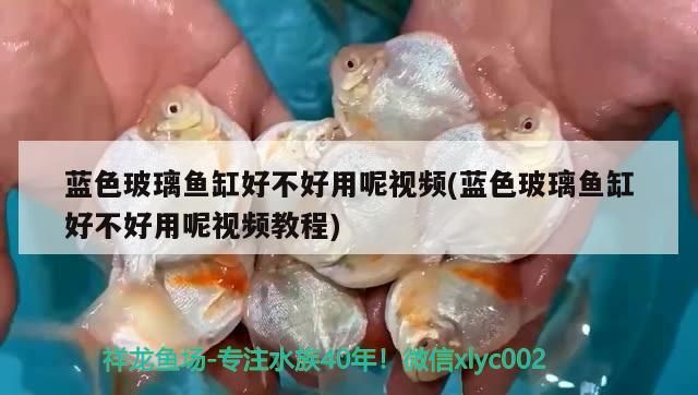 藍(lán)色玻璃魚缸好不好用呢視頻(藍(lán)色玻璃魚缸好不好用呢視頻教程)