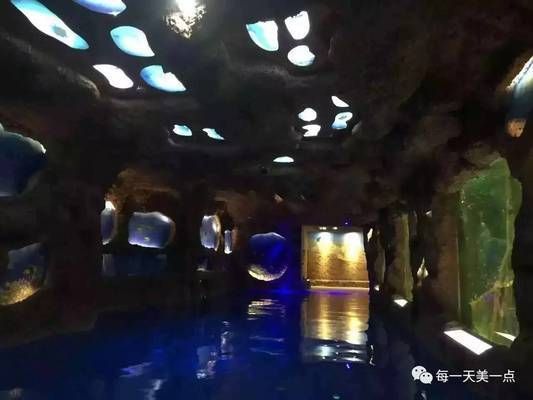 水族館項目概述怎么寫(水族館科普教育活動案例:水族館項目概述詳情撰寫方法) 水族館百科(水族館加盟) 第2張 水族館項目概述怎么寫(水族館科普教育活動案例:水族館項目概述詳情撰寫方法) 水族館項目概述怎么寫(水族館科普教育活動案例:水族館項目概述詳情撰寫方法) 水族館百科(水族館加盟) 第2張
