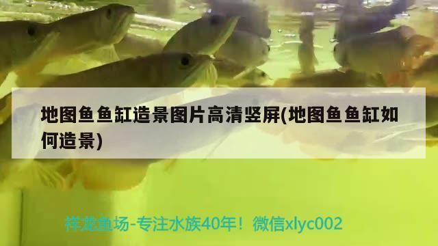 魚(yú)缸用增氧泵價(jià)格是多少:魚(yú)缸增氧機(jī)-xtrac增氧機(jī)-xtrac增氧機(jī) 地圖魚(yú)魚(yú)缸造景圖片高清豎屏(地圖魚(yú)魚(yú)缸如何造景) 元寶鳳凰魚(yú)百科 地圖魚(yú)魚(yú)缸造景圖片高清豎屏(地圖魚(yú)魚(yú)缸如何造景) 地圖魚(yú)魚(yú)缸造景圖片高清豎屏(地圖魚(yú)魚(yú)缸如何造景) 元寶鳳凰魚(yú)百科