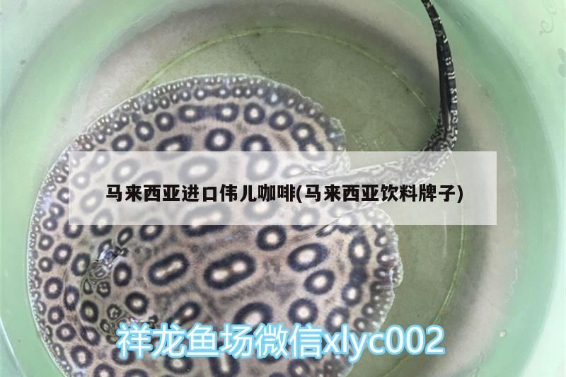 馬來西亞進(jìn)口偉兒咖啡(馬來西亞飲料牌子) 馬來西亞進(jìn)口偉兒咖啡(馬來西亞飲料牌子) 馬來西亞咖啡