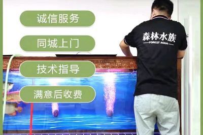 嘉興魚缸哪里買便宜好用（嘉興魚缸哪里買便宜好用的）