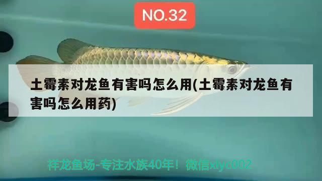 土霉素對龍魚有害嗎怎么用(土霉素對龍魚有害嗎怎么用藥) 土霉素對龍魚有害嗎怎么用(土霉素對龍魚有害嗎怎么用藥) iwish愛唯希品牌魚缸