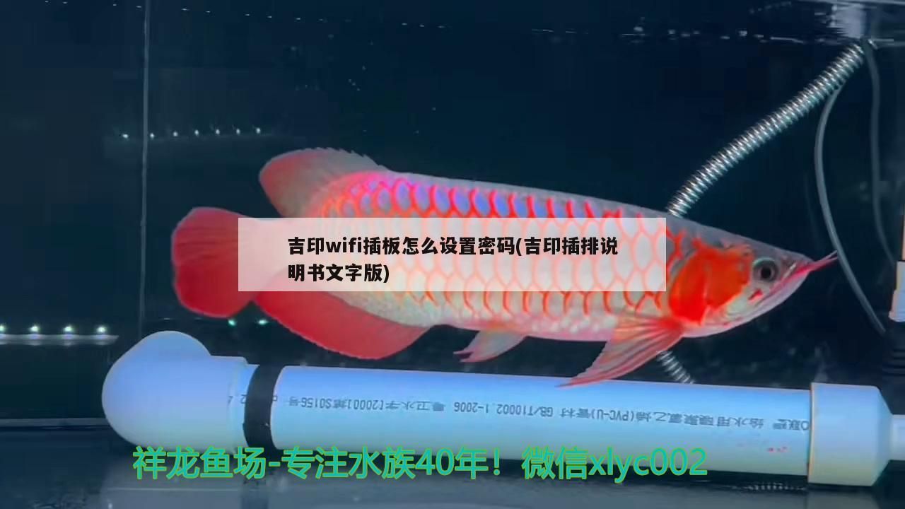 吉印wifi插板怎么設置密碼(吉印插排說明書文字版) 吉印wifi插板怎么設置密碼(吉印插排說明書文字版) 吉印水族