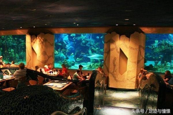 中國最大的水族館在哪里（<strong><mark>上海</mark></strong>海洋水族館）