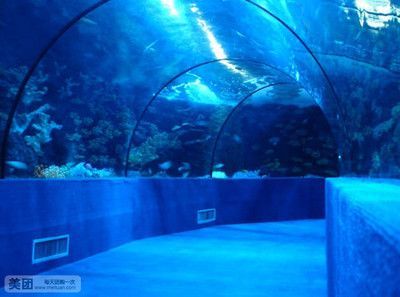 水族館是做什么的:水族館是一個專門用于展示水生動物的機構 水族館百科(水族館加盟) 第3張 水族館是做什么的:水族館是一個專門用于展示水生動物的機構 水族館是做什么的:水族館是一個專門用于展示水生動物的機構 水族館百科(水族館加盟) 第3張
