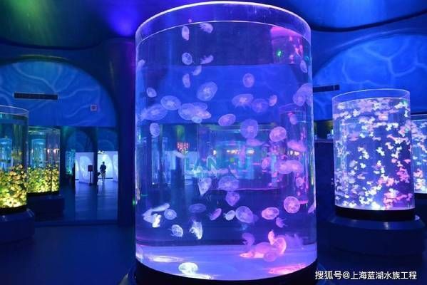 水族館場景：水族館場景素材的獲取途徑，