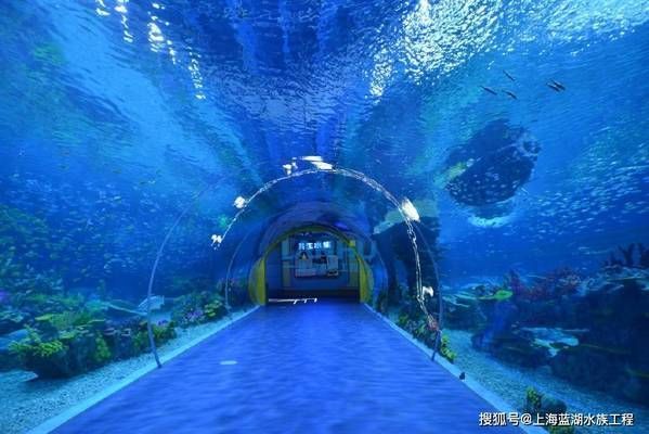 水族館場景：水族館場景素材的獲取途徑，