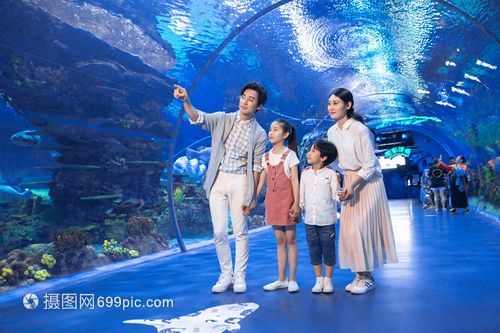 水族館場景：水族館場景素材的獲取途徑，
