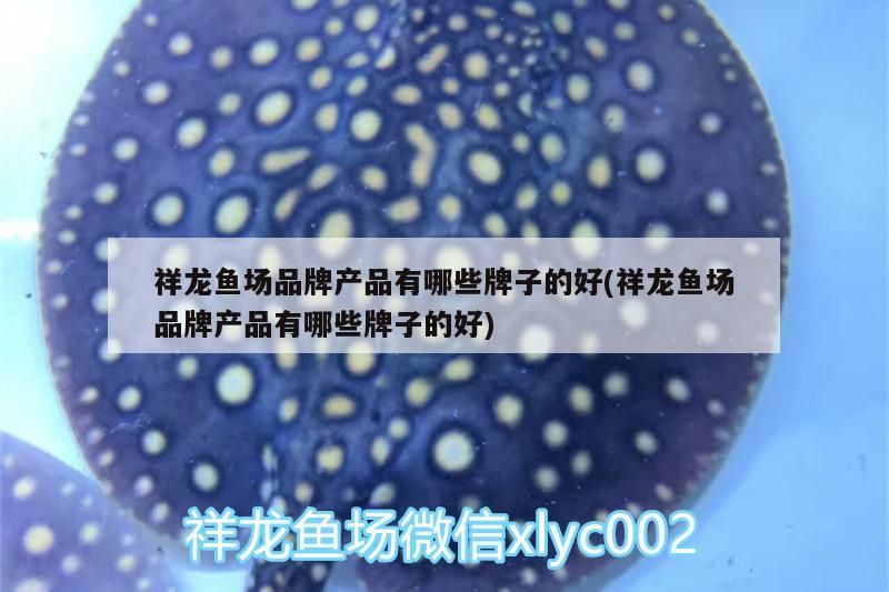 金龍魚 祥龍魚場品牌產品有哪些牌子的好(祥龍魚場品牌產品有哪些牌子的好) vs祥龍魚場 祥龍魚場品牌產品有哪些牌子的好(祥龍魚場品牌產品有哪些牌子的好) 祥龍魚場品牌產品有哪些牌子的好(祥龍魚場品牌產品有哪些牌子的好) vs祥龍魚場
