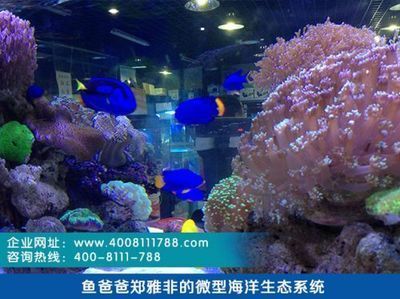 水族館現(xiàn)在行情怎么樣了（水族館市場增長驅(qū)動力探究水族館行業(yè)市場競爭現(xiàn)狀）