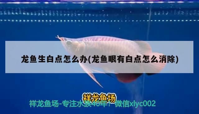 孝義二手魚缸市場地址電話號碼(孝義二手物品)