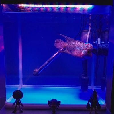 馬印發色燈13000k使用方法：馬印發色燈13000k使用方法詳細信息詳解