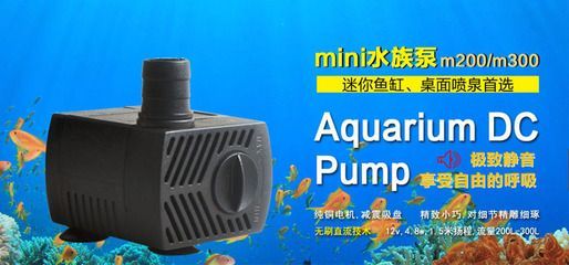 1米魚缸用多大上下水管子：1米長的魚缸 1米魚缸用多大上下水管子：1米長的魚缸 魚缸百科 第4張