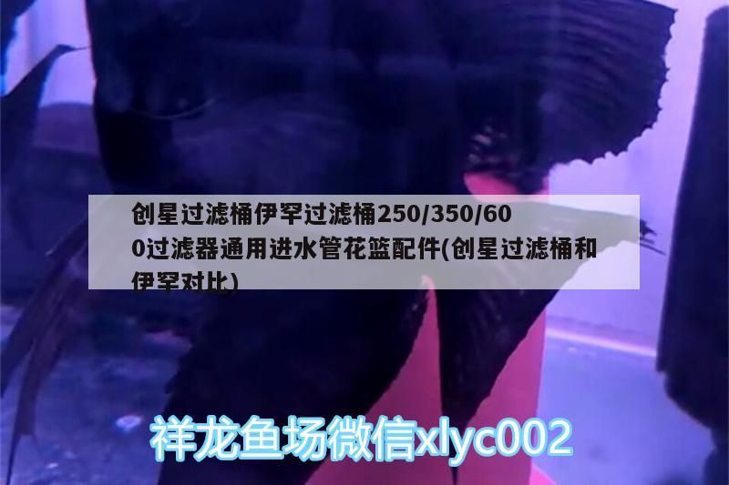 創(chuàng)星過濾桶伊罕過濾桶250/350/600過濾器通用進水管花籃配件(創(chuàng)星過濾桶和伊罕對比) 創(chuàng)星過濾桶伊罕過濾桶250/350/600過濾器通用進水管花籃配件(創(chuàng)星過濾桶和伊罕對比) 伊罕水族