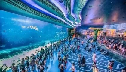 投資一個水族館要多少錢（開設一個水族館所需的投資成本和經營策略）