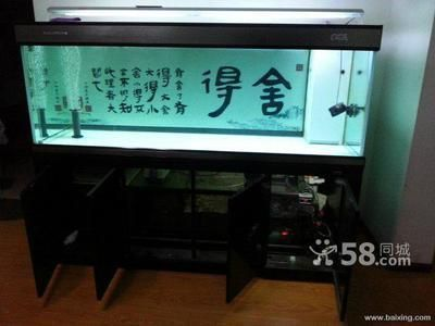 魚缸背景圖怎么撕下來，如何撕下魚缸背景圖 魚缸背景圖怎么撕下來，如何撕下魚缸背景圖 魚缸百科 第2張